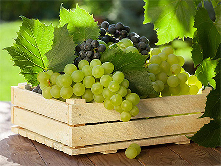 產品展示標題二